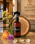 Spray Room Tipo Hotel Vidanta