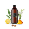 Aroma Wynn